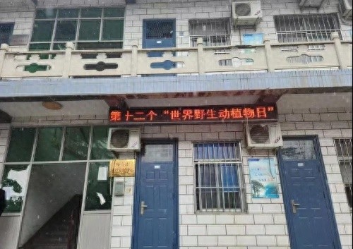 你知道闻喜县如何携手全民共建地球生命共同体吗？揭秘第12个世界野生动植物日的震撼行动