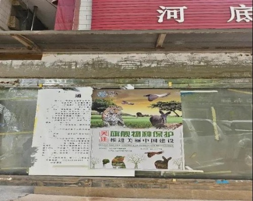 你知道闻喜县如何携手全民共建地球生命共同体吗？揭秘第12个世界野生动植物日的震撼行动  第4张