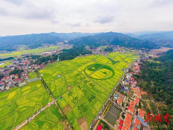 衡阳油菜花海惊艳绽放，近万名游客共赴春日盛宴，你还在等什么？  第3张