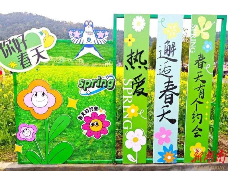 衡阳油菜花海惊艳绽放，近万名游客共赴春日盛宴，你还在等什么？  第5张