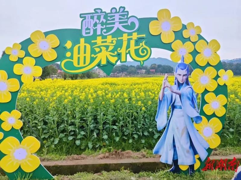 衡阳油菜花海惊艳绽放，近万名游客共赴春日盛宴，你还在等什么？  第6张