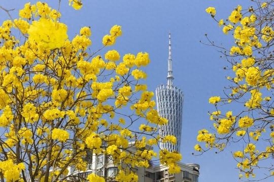 广州春天冷热交替如此疯狂，你的衣物准备好了吗？