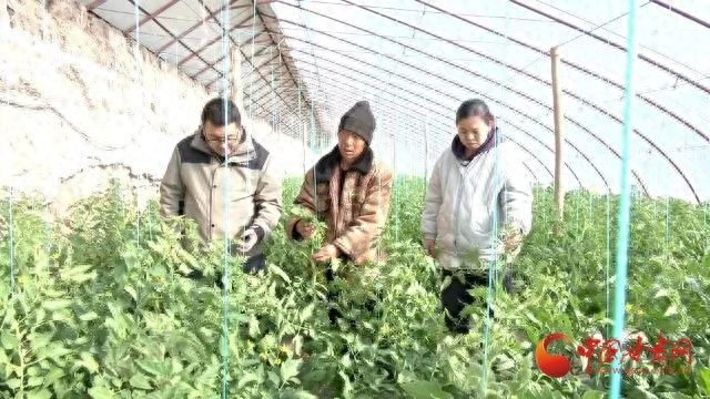 科技赋能，春日田野如何焕发新生机？玉门市春耕备耕现场揭秘