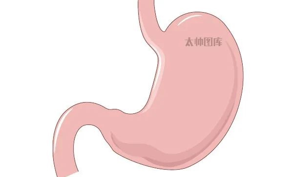 为什么你的肚子总是胀得像气球？揭秘背后的惊人真相  第3张