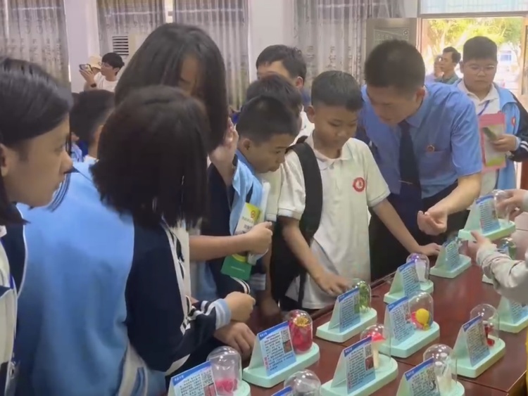 开学第一课竟如此震撼！海口市美兰区检察院如何筑牢未成年人拒毒防线？  第4张
