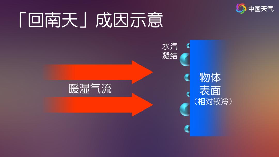 气温飙升！你的城市即将迎来今年首个20°C吗？  第4张