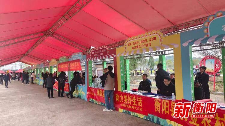春日花田里的金融守护！中国人寿如何解锁你的金融安全密码？  第3张