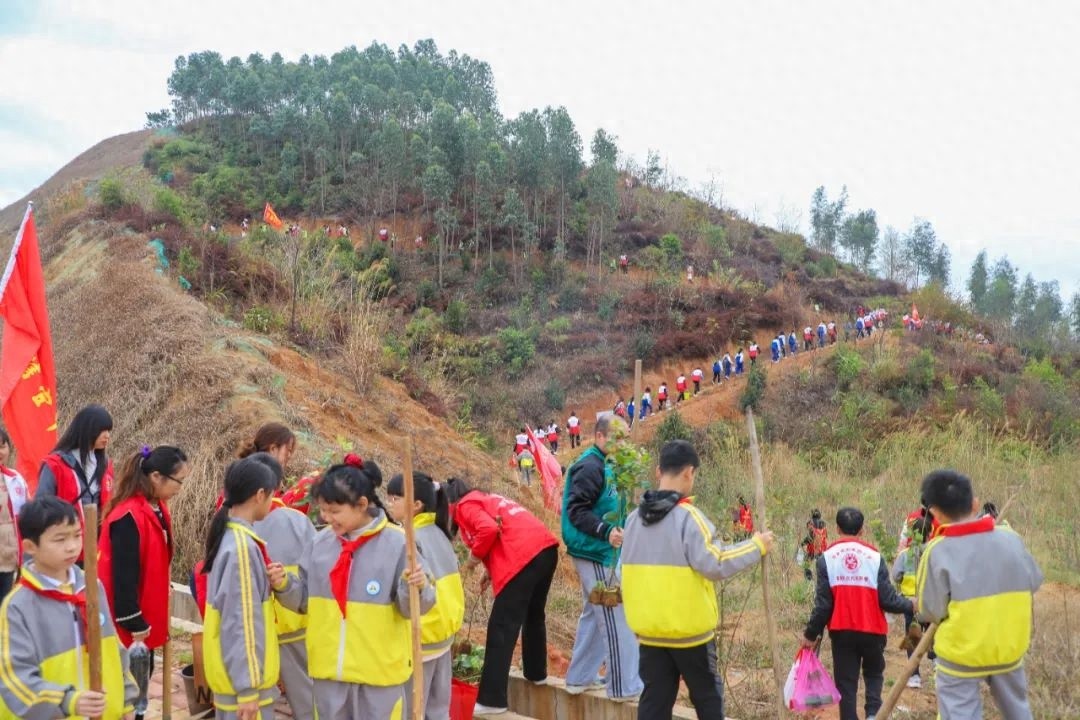 千名师生家长共植2250棵苗木，你愿意为城市增添新绿出一份力吗？  第1张