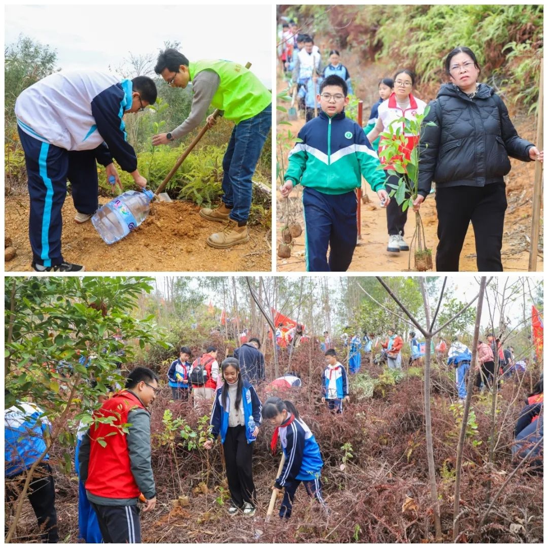 千名师生家长共植2250棵苗木，你愿意为城市增添新绿出一份力吗？  第3张