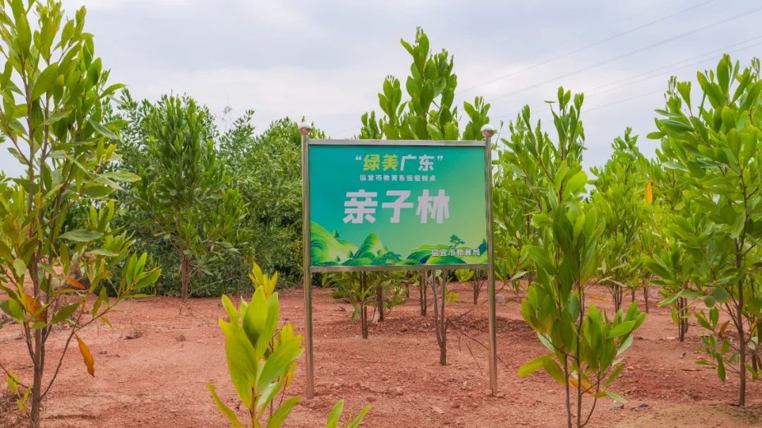 千名师生家长共植2250棵苗木，你愿意为城市增添新绿出一份力吗？  第4张