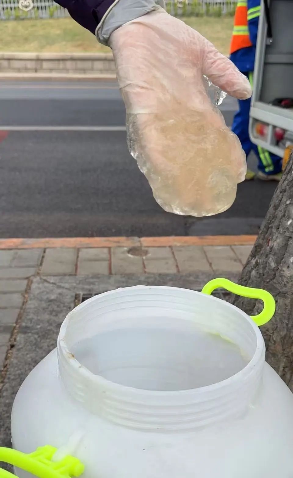 北京杨柳飞絮始发，竟有神器应对？  第4张