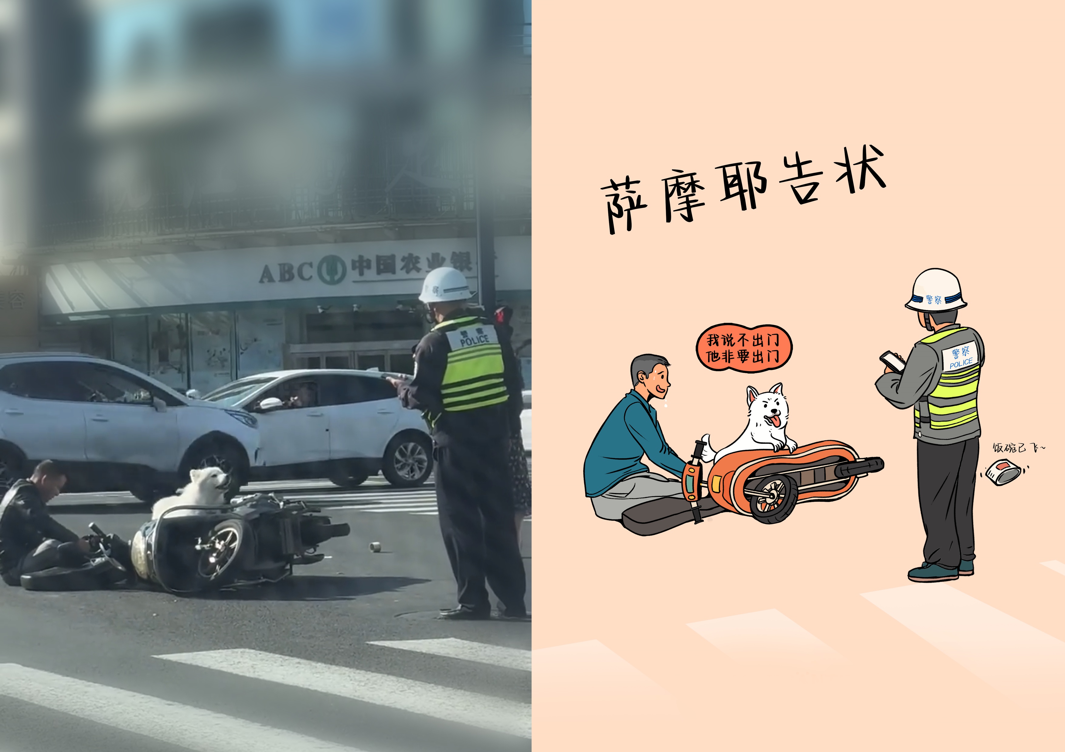 平面设计师薛连停！他手绘生活趣事，你不看会后悔吗?  第4张