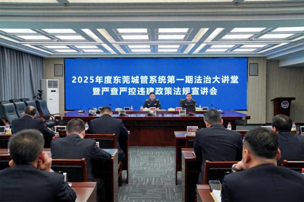 2025年东莞城管违建治理新政！你知道多少？