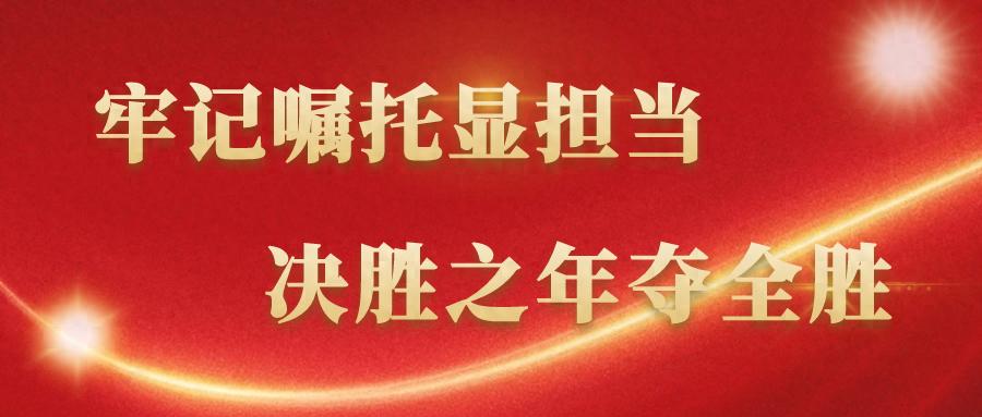 城区停车乱象何时休？交警严查违停，你的爱车安全吗？