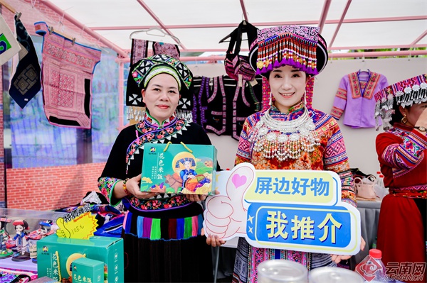 屏边县在上海办康养旅居推介活动：东西部协作新机遇?  第3张