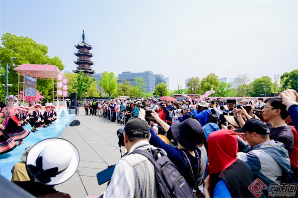 屏边县在上海办康养旅居推介活动：东西部协作新机遇?  第4张