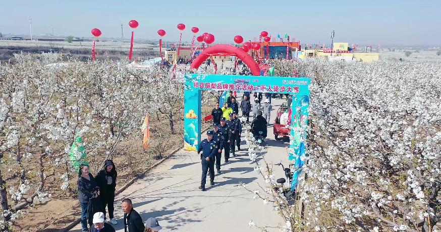 祁县梨花盛景中，警筑防线！啥样的安全感触手可及？  第2张