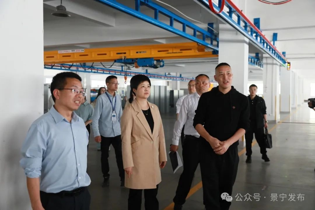 景宁生态工业如何实现跃阶升级？县长蓝景芬这样强调  第2张