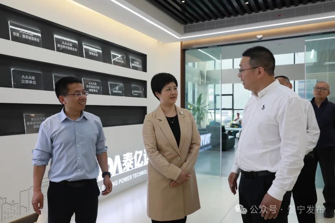景宁生态工业如何实现跃阶升级？县长蓝景芬这样强调  第3张
