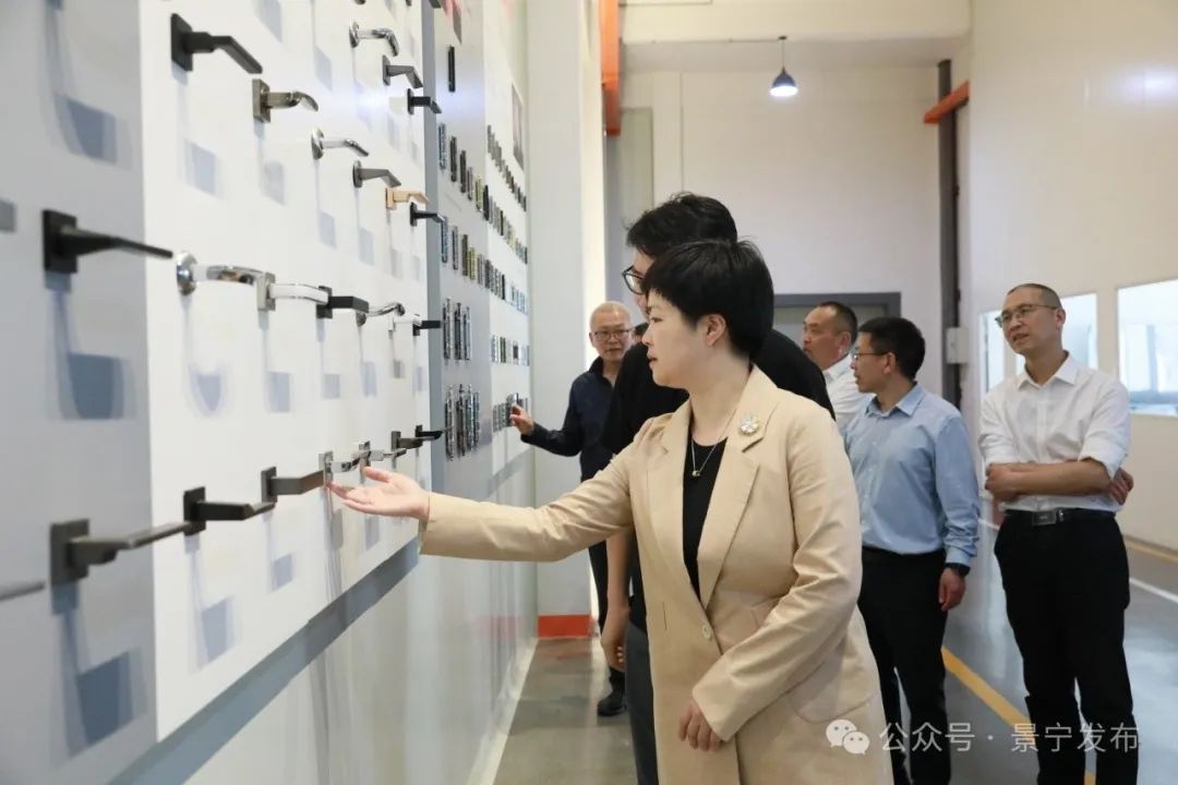 景宁生态工业如何实现跃阶升级？县长蓝景芬这样强调  第4张