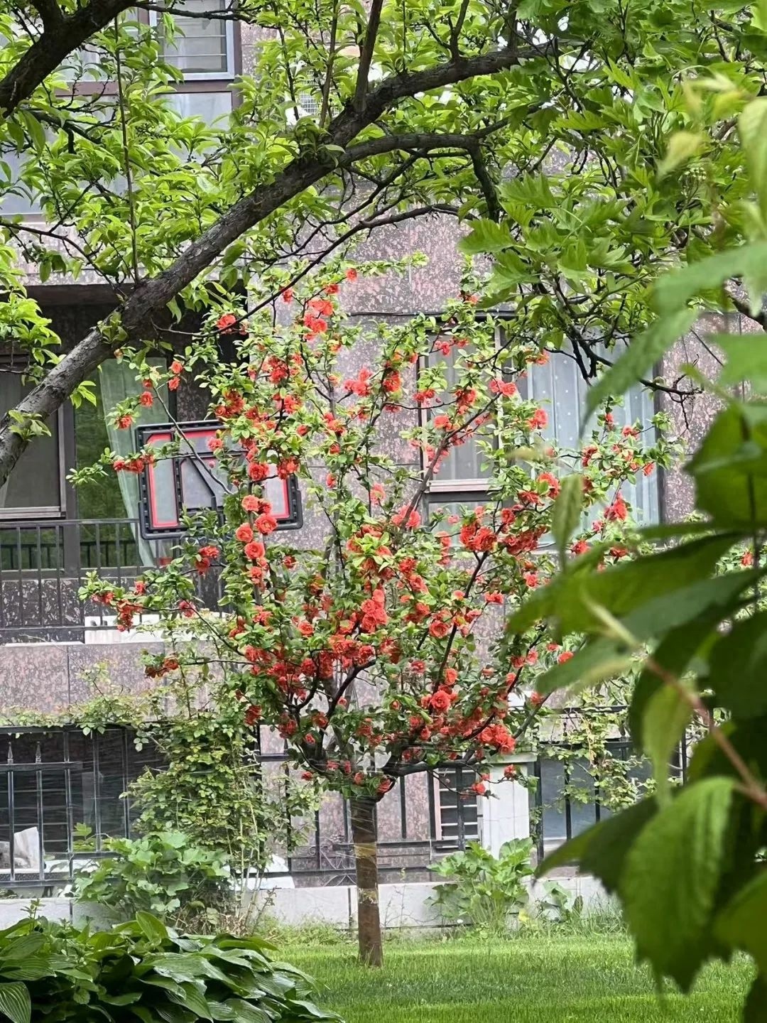 休息日省内升温似盛夏！最高温 24℃，大北风天你穿对了吗？