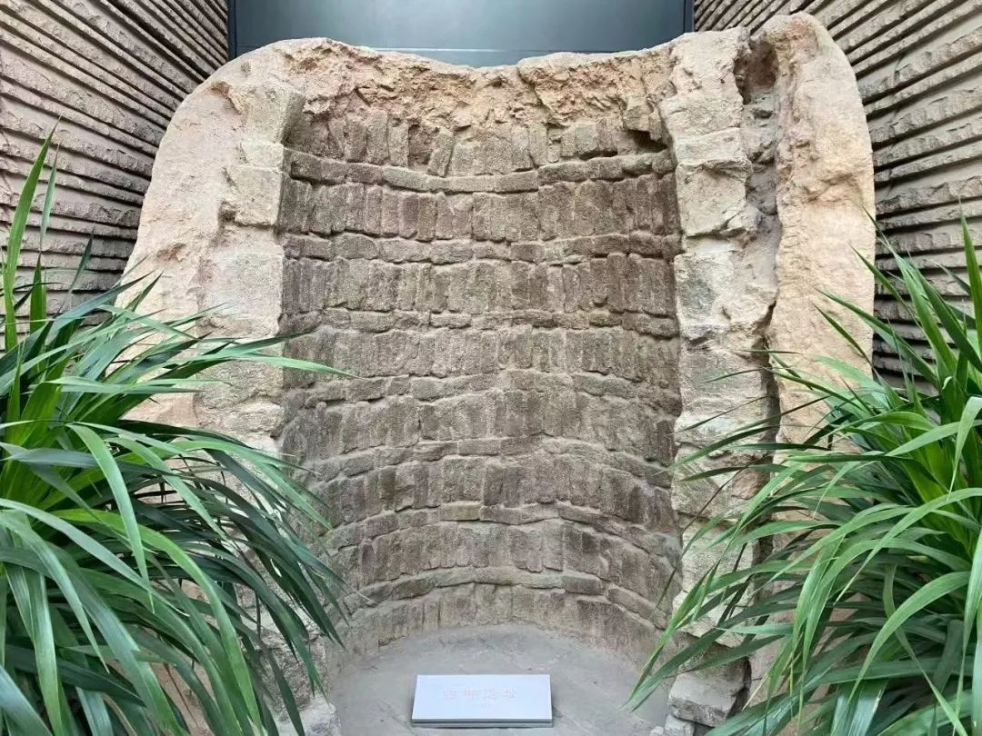 196项文化活动助力博物馆未来发展？速来探索多元精彩  第2张