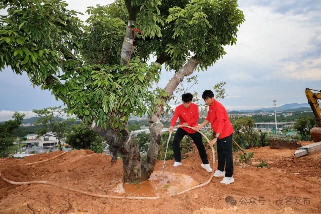十五运会广东队首日双金！山顶种树意义非凡，未来能否续写辉煌？  第1张