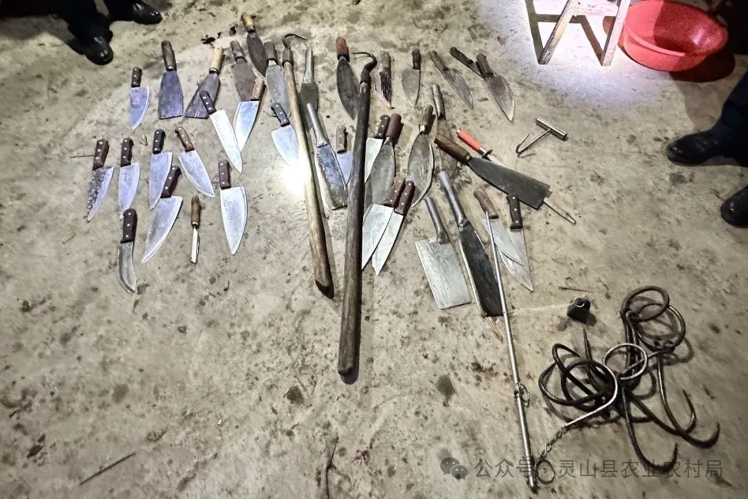 灵山县凌晨捣毁私宰窝点！猪肉安全谁来守护？  第2张