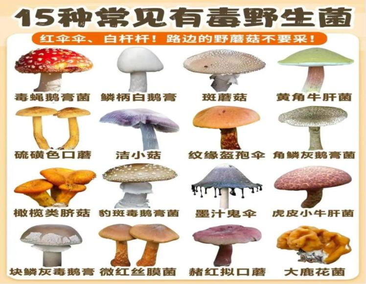 春夏交替时节食品安全隐患大增？这份防坑指南快收好  第4张