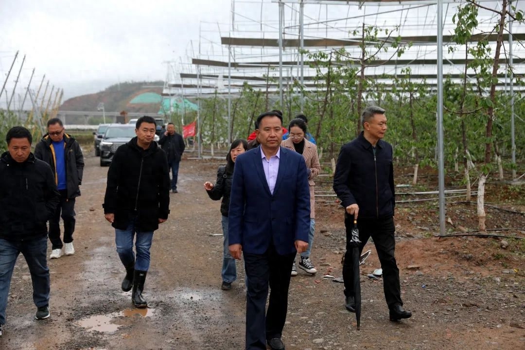 5月9日我县突降冰雹致部分乡受灾！后续救灾情况如何？