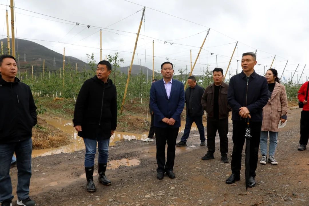 5月9日我县突降冰雹致部分乡受灾！后续救灾情况如何？  第2张