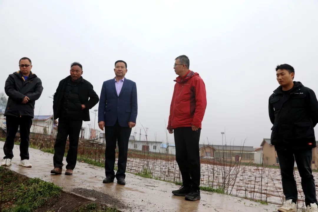 5月9日我县突降冰雹致部分乡受灾！后续救灾情况如何？  第4张