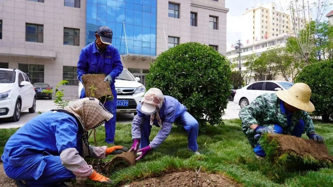 静宁街头绿化忙！园林工人穿梭多条路段，城市新貌咋打造的？