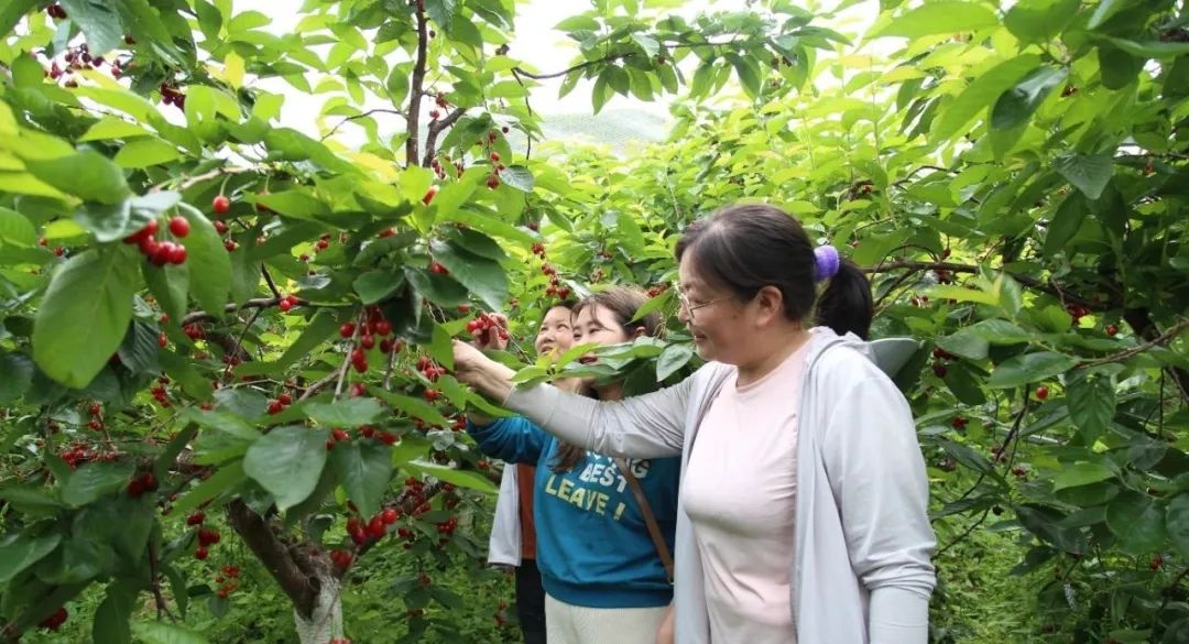 5月10日爱心伴读进社区！这温情故事能给孩子带来啥？  第4张