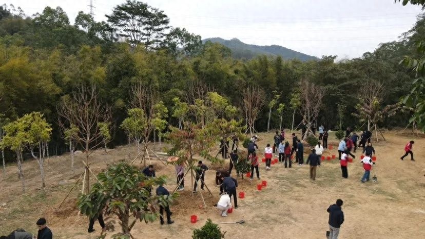 增城掀起全民植绿护绿热潮！种管并重推动生态建设，2.4万株树新增1747亩绿地？
