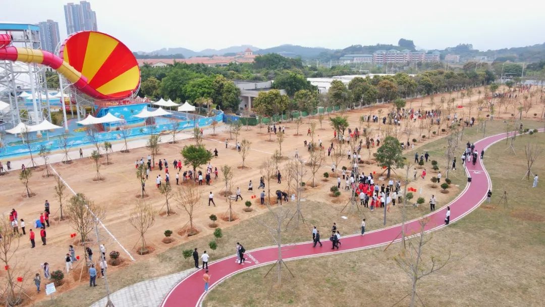增城掀起全民植绿护绿热潮！种管并重推动生态建设，2.4万株树新增1747亩绿地？  第2张