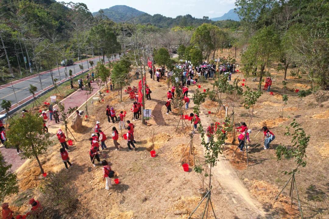 增城掀起全民植绿护绿热潮！种管并重推动生态建设，2.4万株树新增1747亩绿地？  第3张