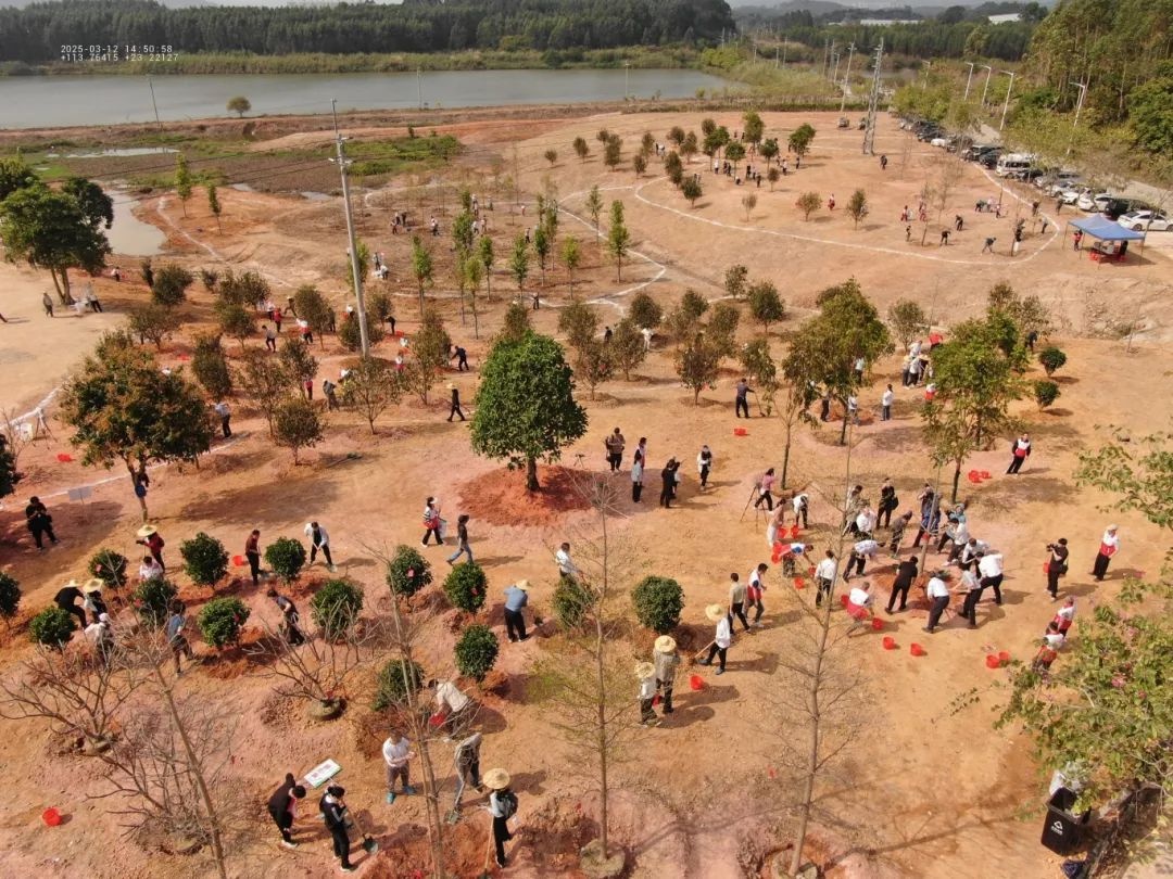 增城掀起全民植绿护绿热潮！种管并重推动生态建设，2.4万株树新增1747亩绿地？  第5张