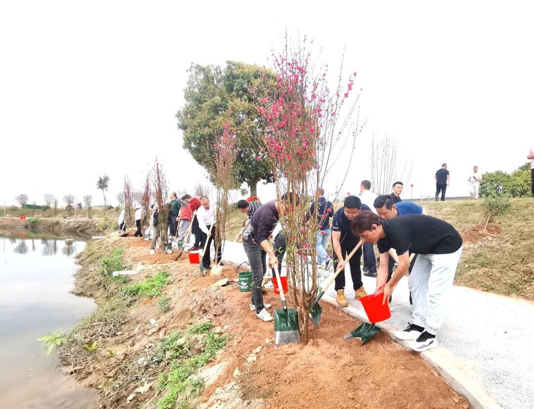 增城掀起全民植绿护绿热潮！种管并重推动生态建设，2.4万株树新增1747亩绿地？  第6张