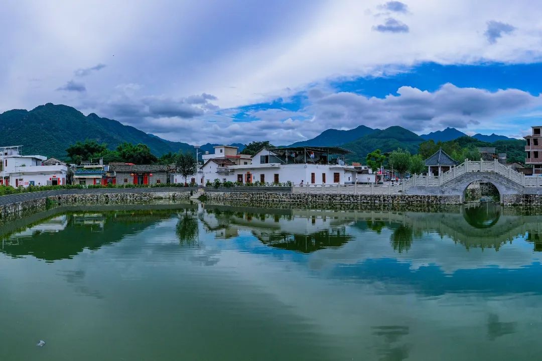 增城掀起全民植绿护绿热潮！种管并重推动生态建设，2.4万株树新增1747亩绿地？  第8张