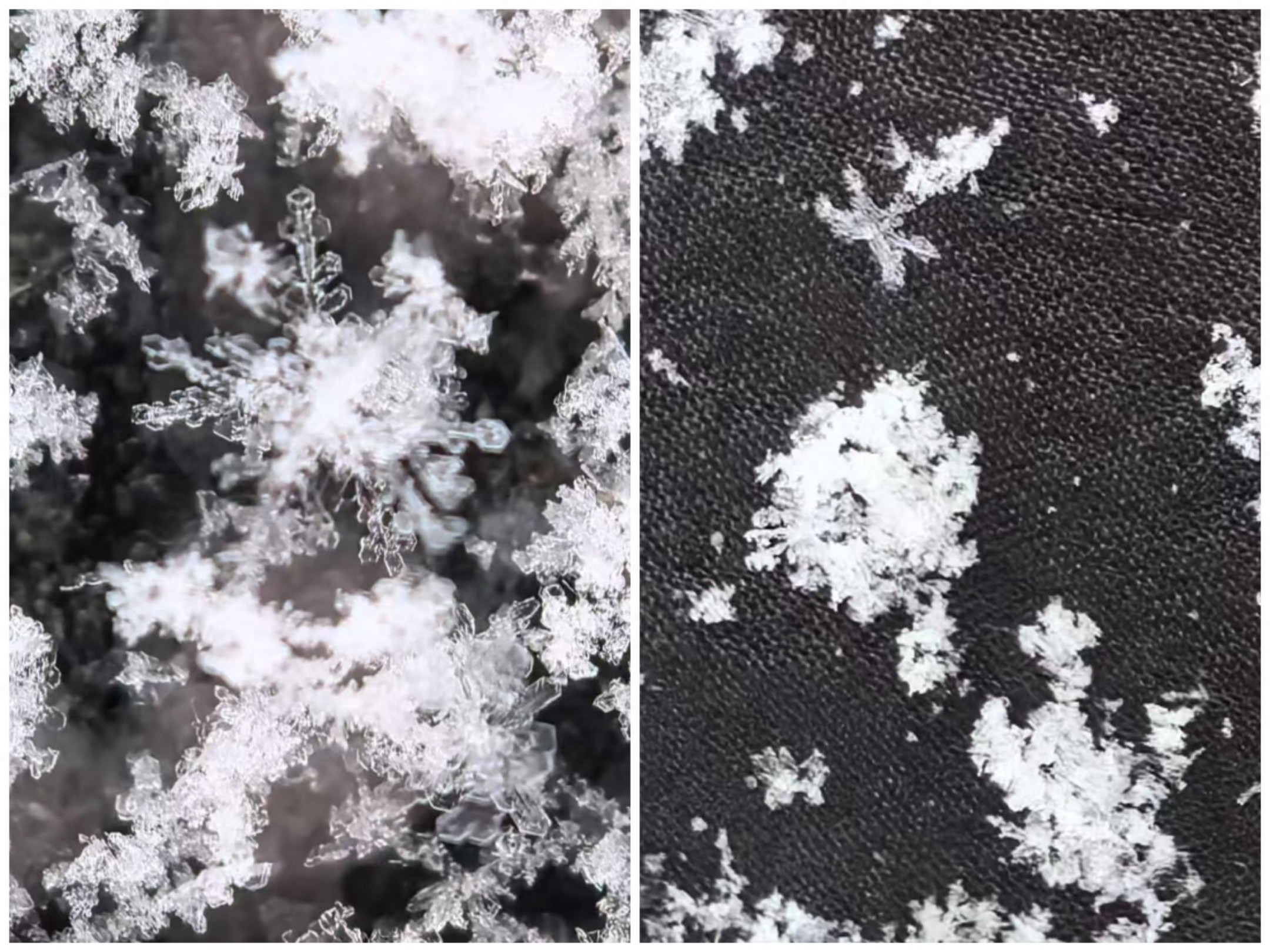 相隔仅几十公里，为何文登与威海市区的雪花形态竟如此不同？揭秘2025年第一场雪的独特魅力  第1张