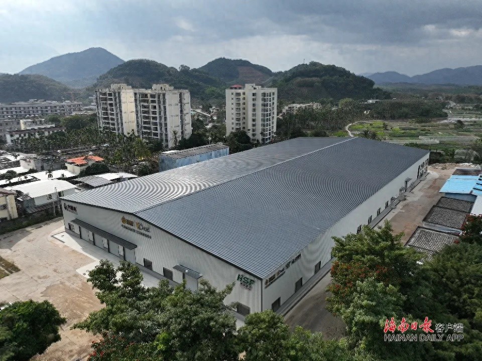 国产榴莲加工厂即将投产，海南榴莲产业迎来新机遇  第1张