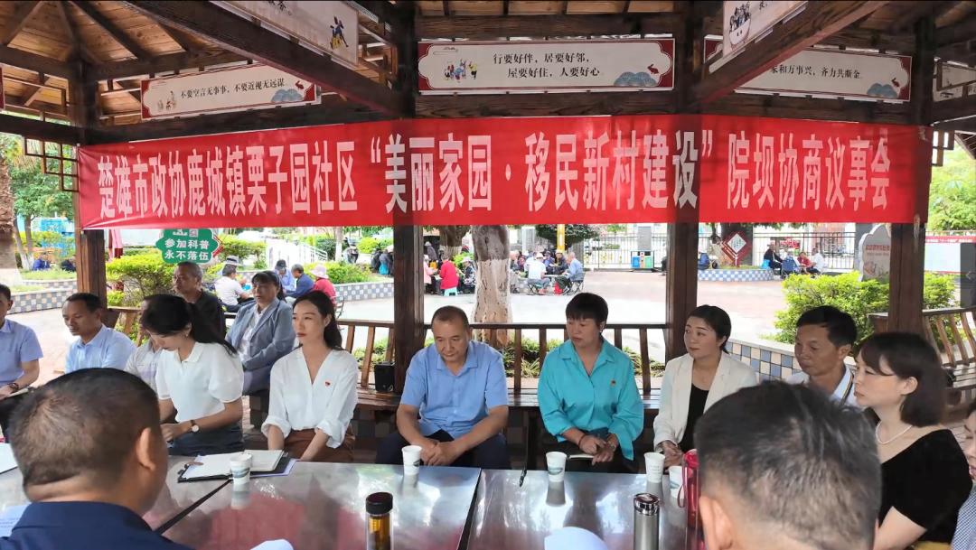 16年移民社区面临大改造！新能源车充电桩、顶层漏水问题能否一并解决？  第1张