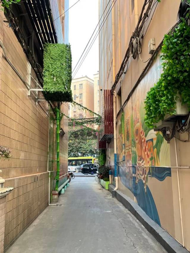 大良氹头直街改造后颜值飙升，你还没来打卡吗？  第3张
