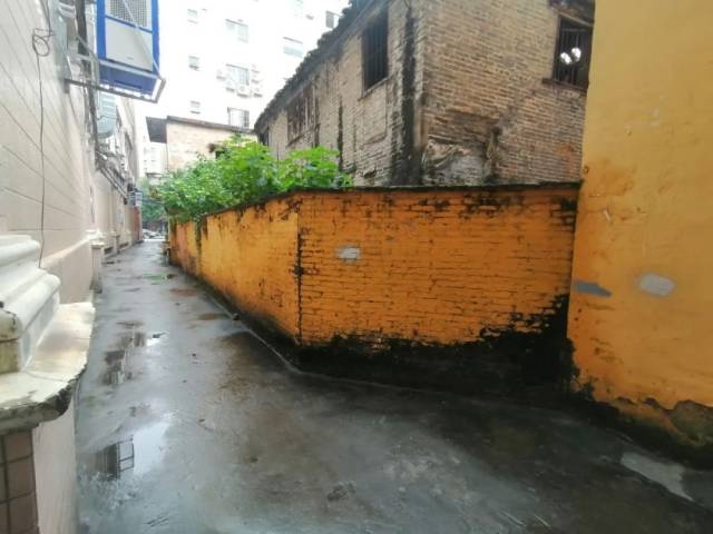大良氹头直街改造后颜值飙升，你还没来打卡吗？  第4张