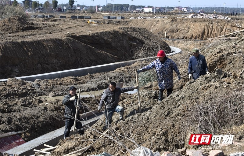 鼎城区港中坪片区为何掀起高标准农田建设热潮？这场行动将如何改变乡村振兴的未来？  第2张