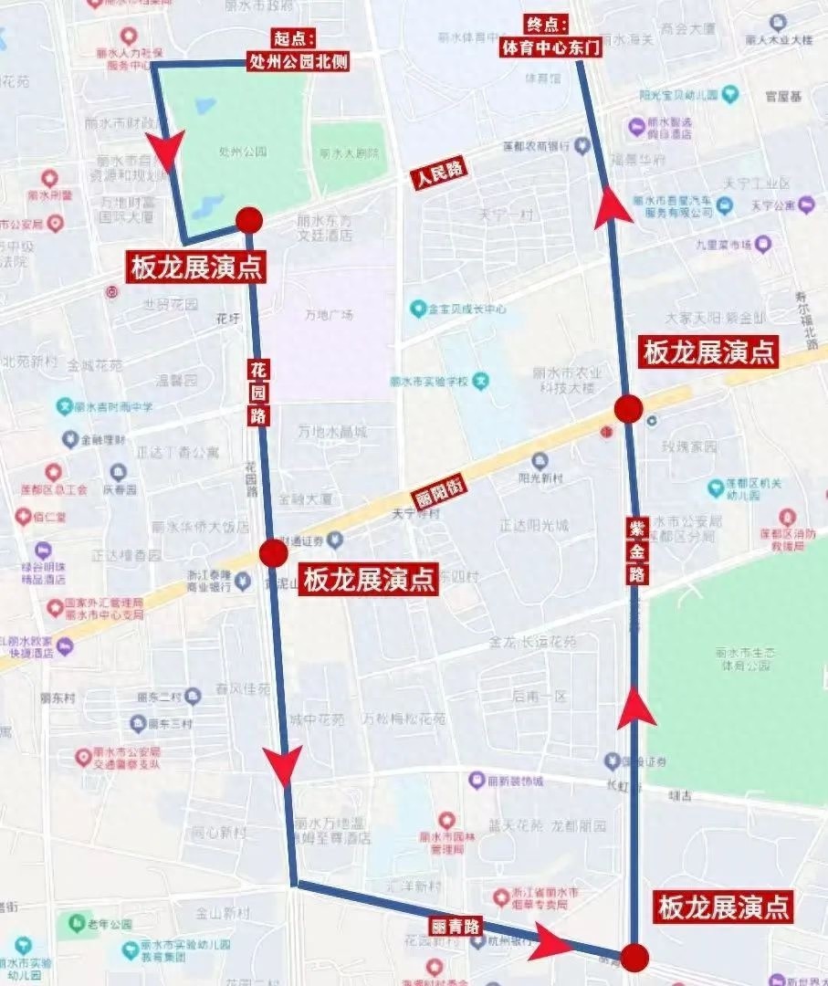 2025年丽水祥龙闹元宵舞龙彩灯巡游，哪些路段将临时交通管制？