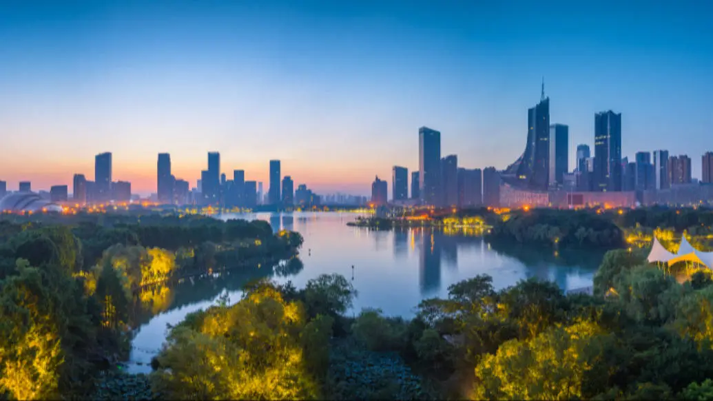 杭州六小龙引领创新浪潮！你的城市能否孕育出这样的科技奇迹？