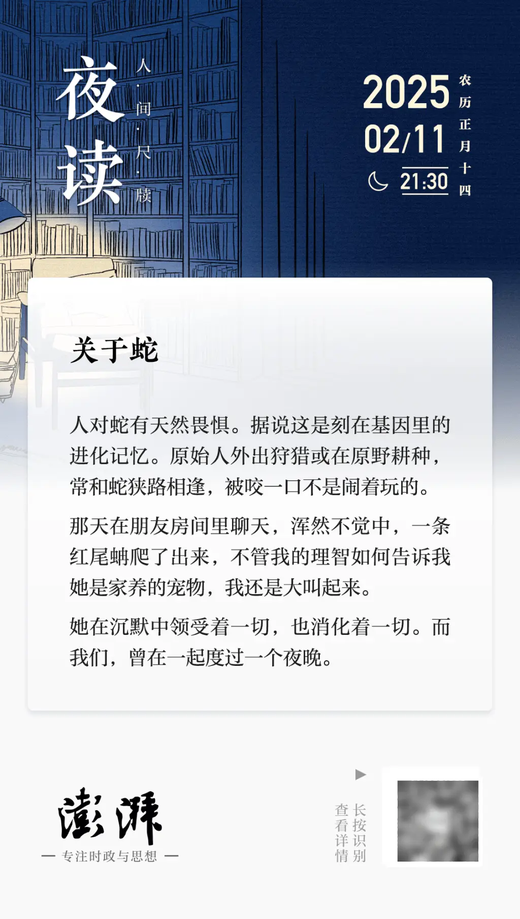 你从未想象过的宠物选择：蛇，为何成为都市人的新宠？  第2张