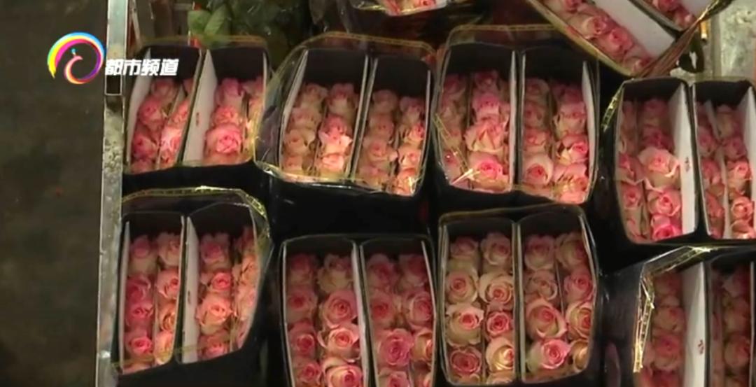昆明花拍中心单日交易量突破600万枝！哪些花色最受欢迎？  第2张